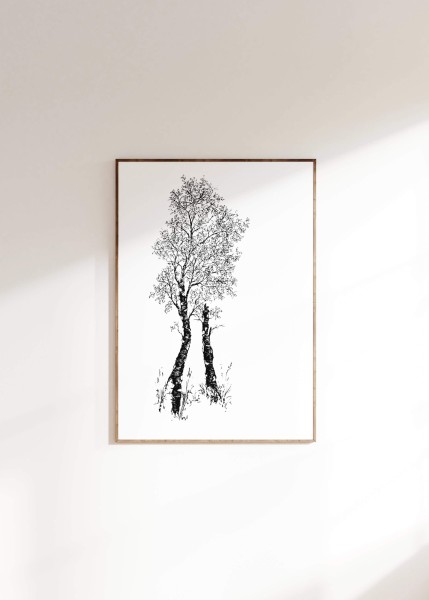 Life-Tree Wall-Art "Birke" Poster